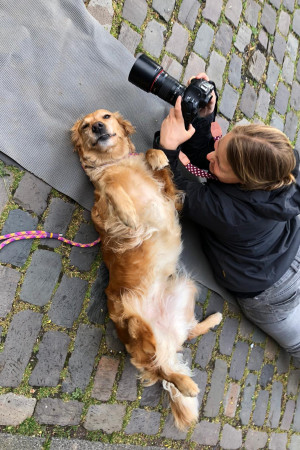 16c8d19d-f180-456b-bda1-ecae23712e20