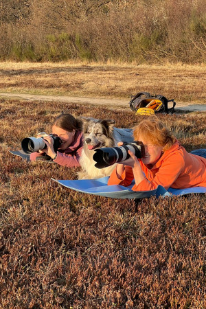 386e22a5-1669-4c96-ab29-01003e962085