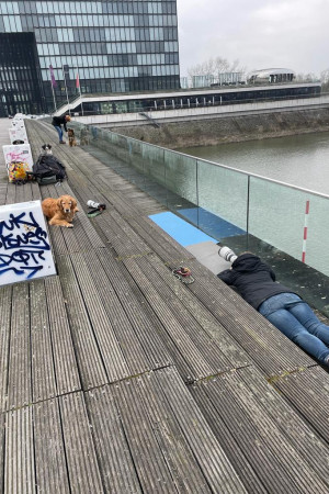 5c45df31-e2a9-4a18-9257-3e9a9df171eb