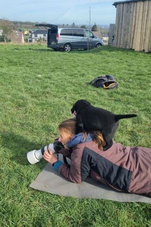 9453e9eb-a483-4ef7-bf68-ac0734c338a5