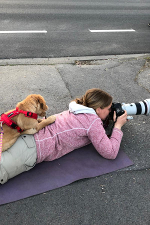 a7698892-32c7-43db-b943-f5a6b3f651e4