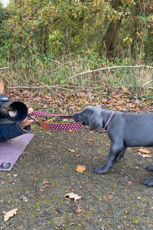 b40d1e56-cf2d-440e-a4c4-3256aba07650