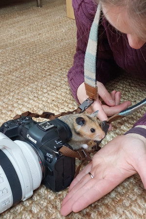 b94c50a1-4159-4d8f-abc8-b566066c0798