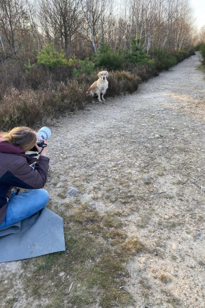 WhatsApp Image 2022-03-31 at 17.46.46