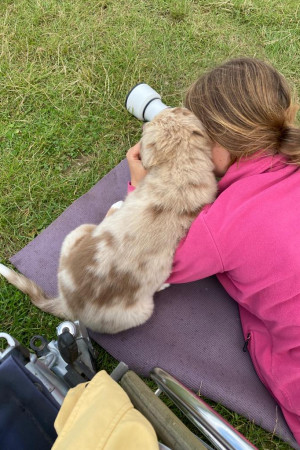 WhatsApp Image 2022-03-31 at 17.47.25