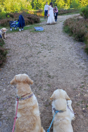 WhatsApp Image 2022-03-31 at 18.33.15