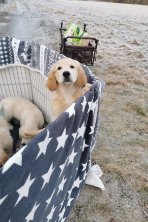 WhatsApp Image 2022-03-31 at 18.38.28