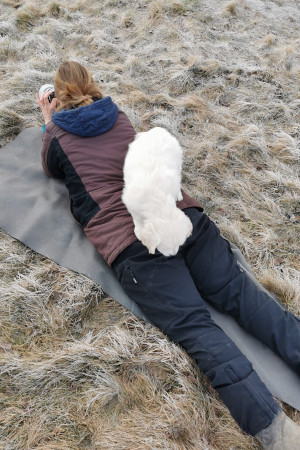 WhatsApp Image 2022-03-31 at 18.38.29